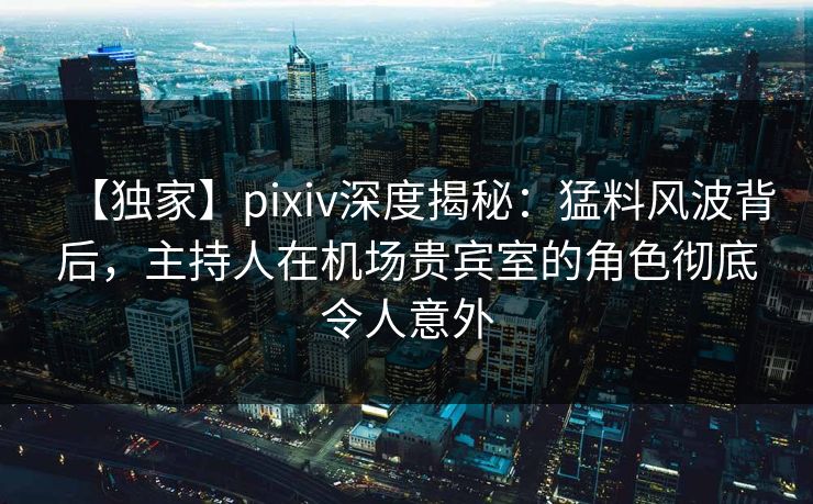 【独家】pixiv深度揭秘：猛料风波背后，主持人在机场贵宾室的角色彻底令人意外  第1张