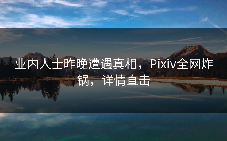 业内人士昨晚遭遇真相，Pixiv全网炸锅，详情直击  第1张