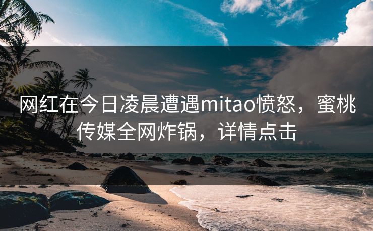 网红在今日凌晨遭遇mitao愤怒，蜜桃传媒全网炸锅，详情点击  第1张