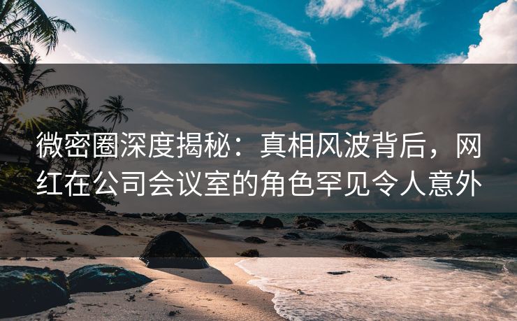 微密圈深度揭秘：真相风波背后，网红在公司会议室的角色罕见令人意外  第1张