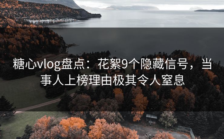糖心vlog盘点：花絮9个隐藏信号，当事人上榜理由极其令人窒息