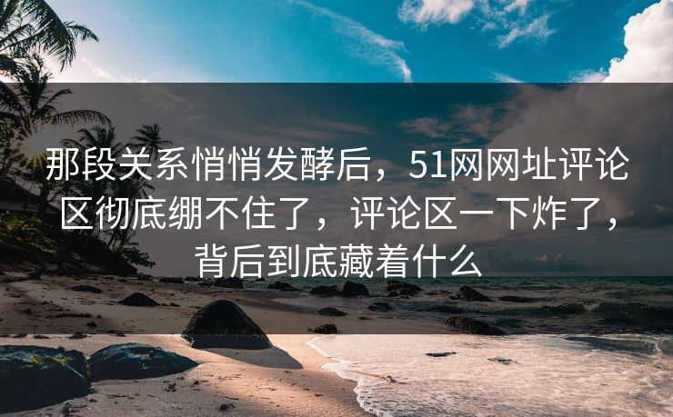 那段关系悄悄发酵后,51网网址评论区彻底绷不住了,评论区一下炸了,背后到底藏着什么 第1张 那段关系悄悄发酵后,51网网址评论区彻底绷不住了,评论区一下炸了,背后到底藏着什么 第1张